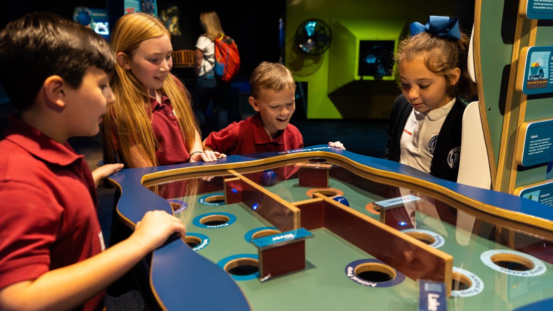 ocean bound exhibit