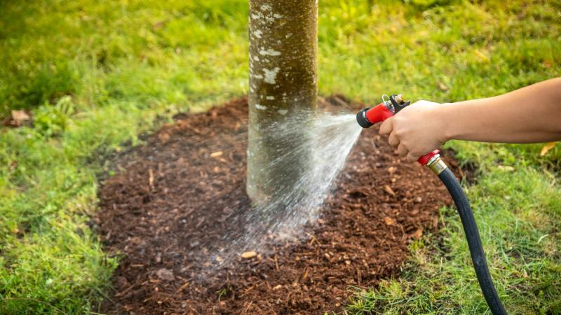 A hand holding a hose watering a tree well.
