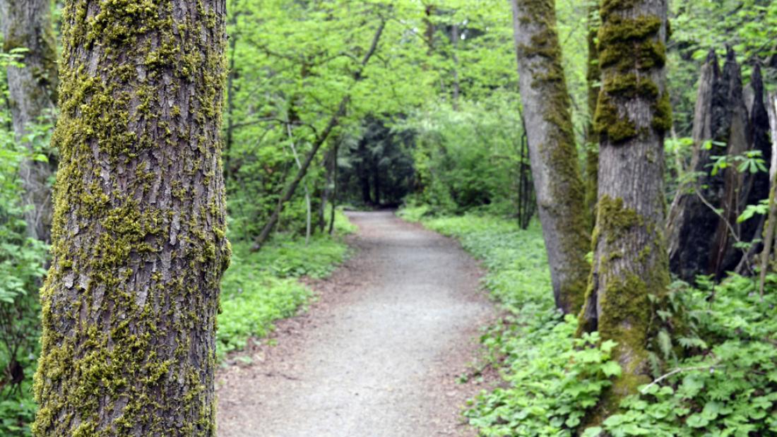 Hi-Knoll Park