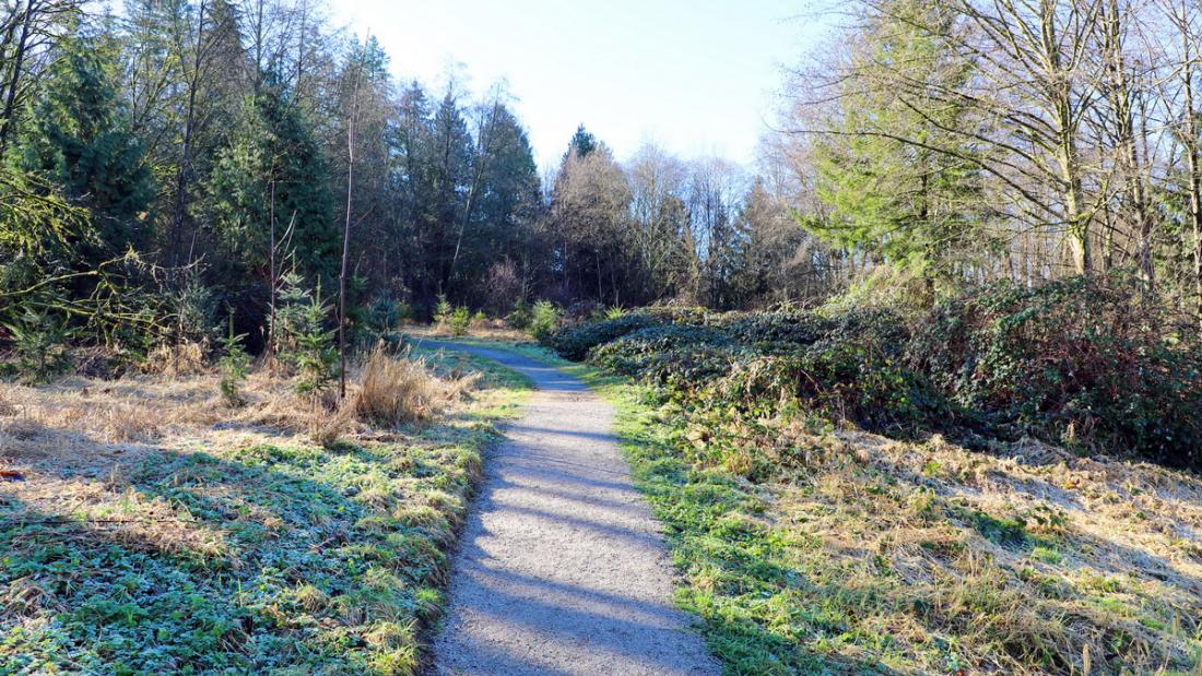Park trail