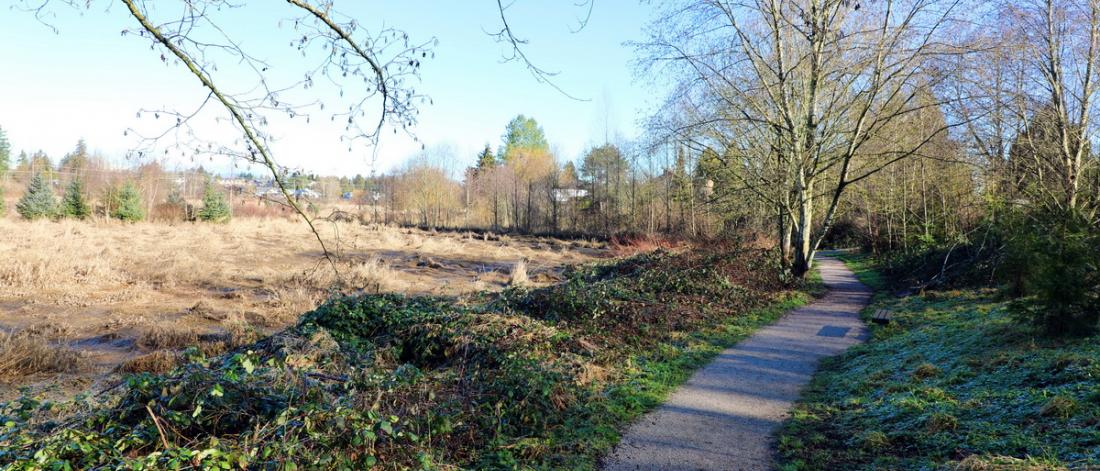 Park trail