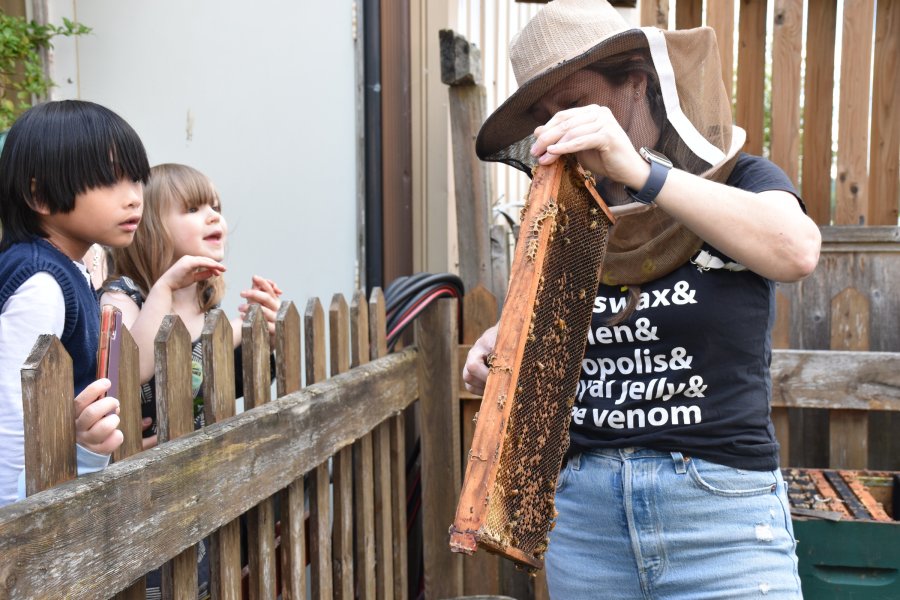 Beekeeper showing a honeycomb frame to curious children.