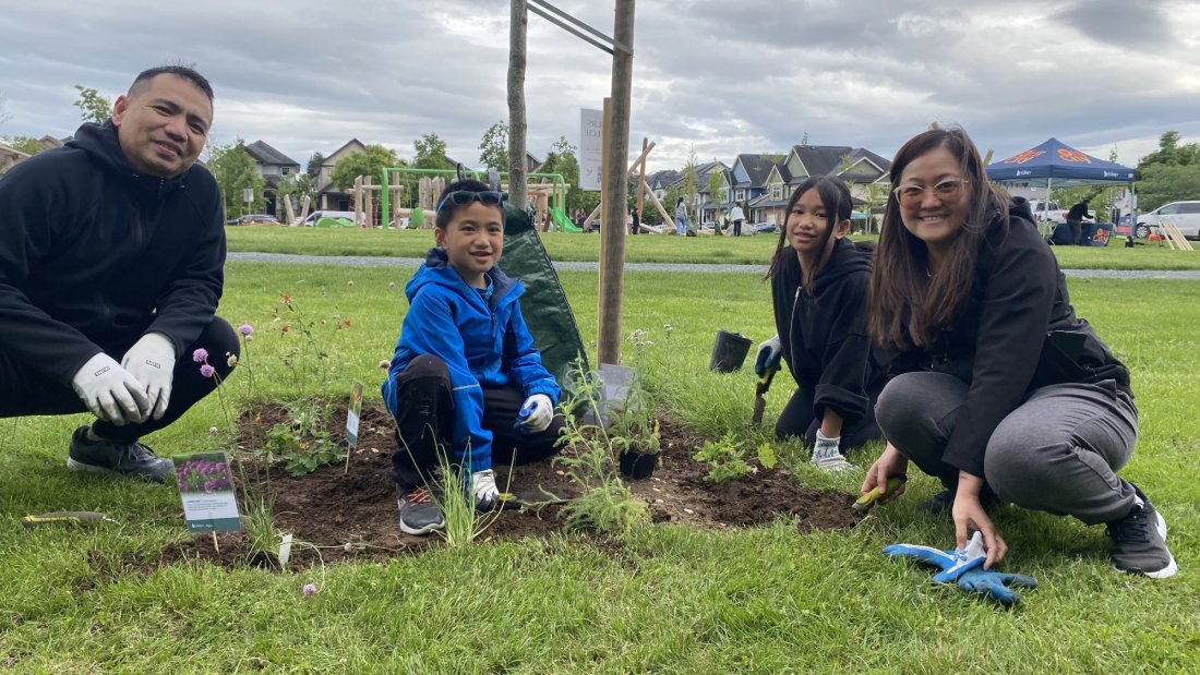 June 3, Pollinator Tree Well Planting, Salmonberry Park