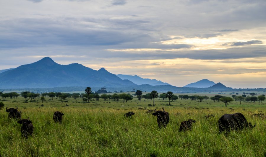 Kidepo National Park