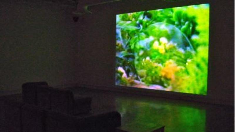 Laura Lamb, Utopias in a Little Box, 1986-1987