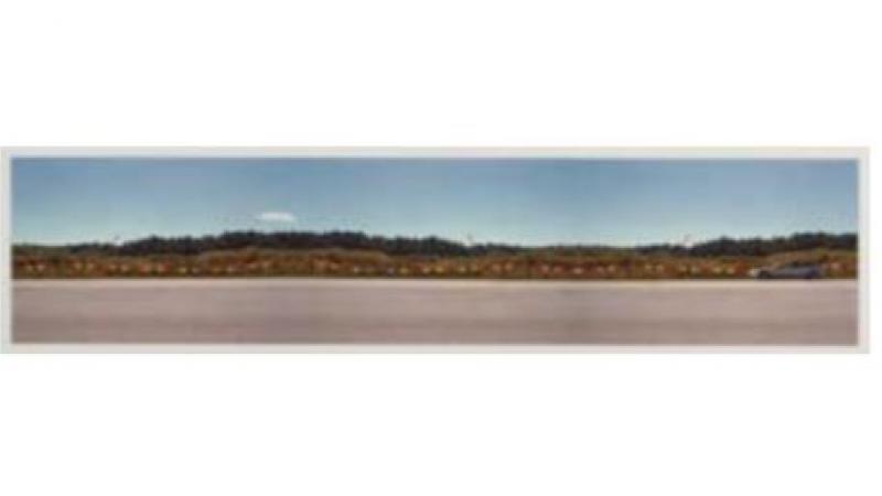Evan Lee, S. Fraser Way, Surrey, B.C. Landscape #1 (flags), 2000