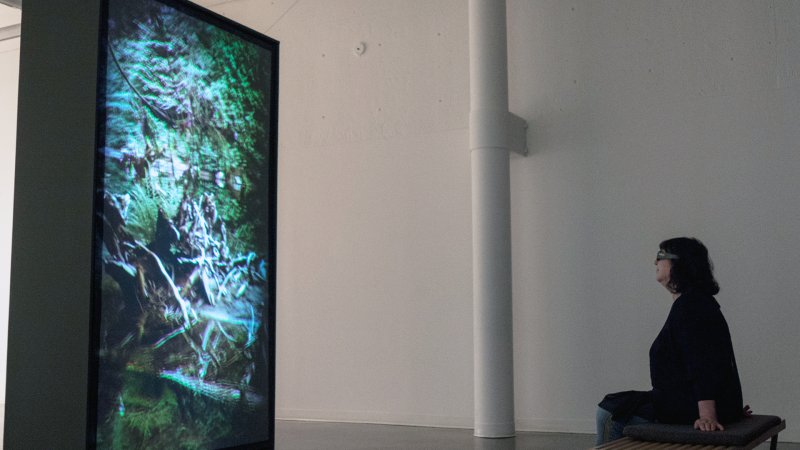 A person sits in front of a large screen that shows a green forest. 
