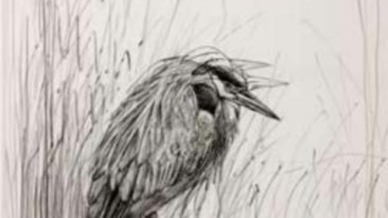 Don Li-Leger, Great Blue Heron, 1991
