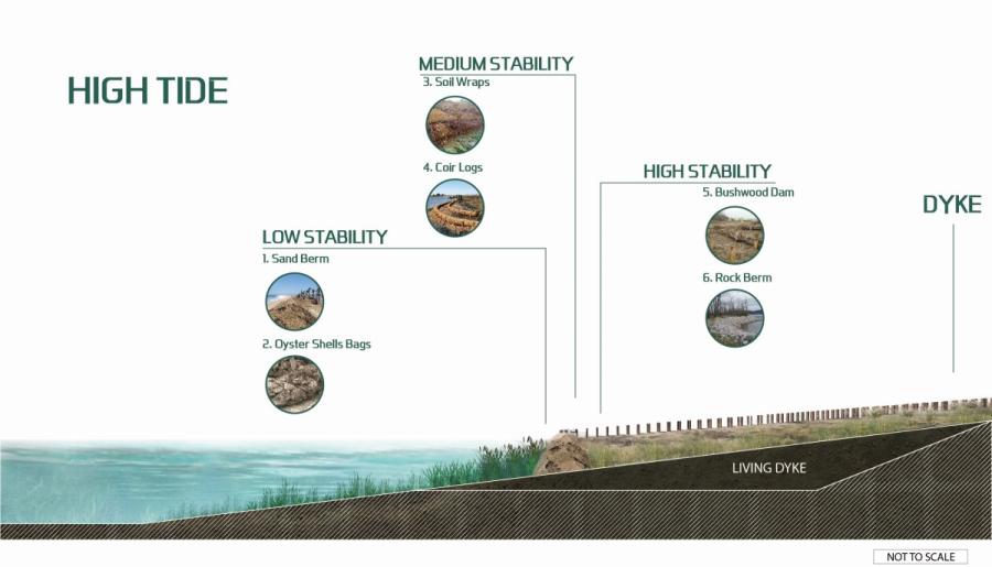 Rendering of living dyke with different stabilization techniques