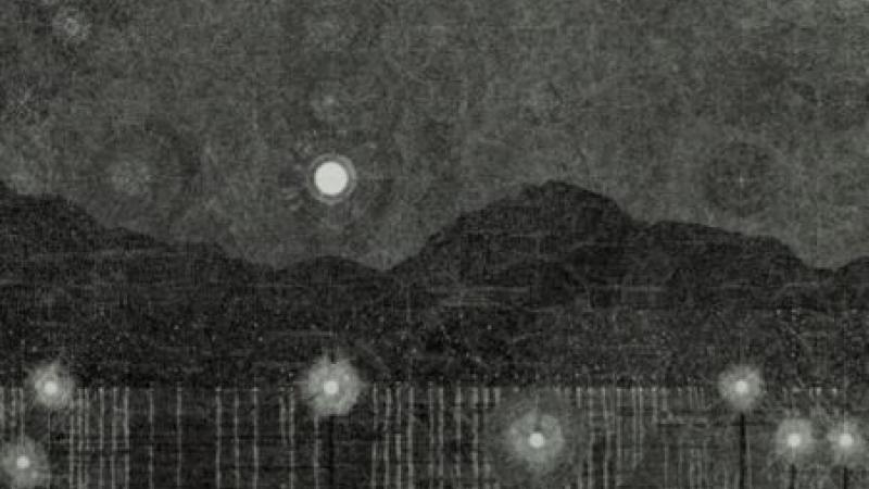 Catharine MacTavish, Night Vision