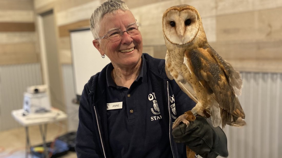 May 14, Owl Prowl, Godwin Farm