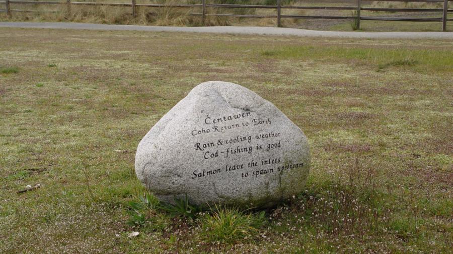 Tina Farmilo - Memory Stones