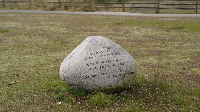 Tina Farmilo - Memory Stones