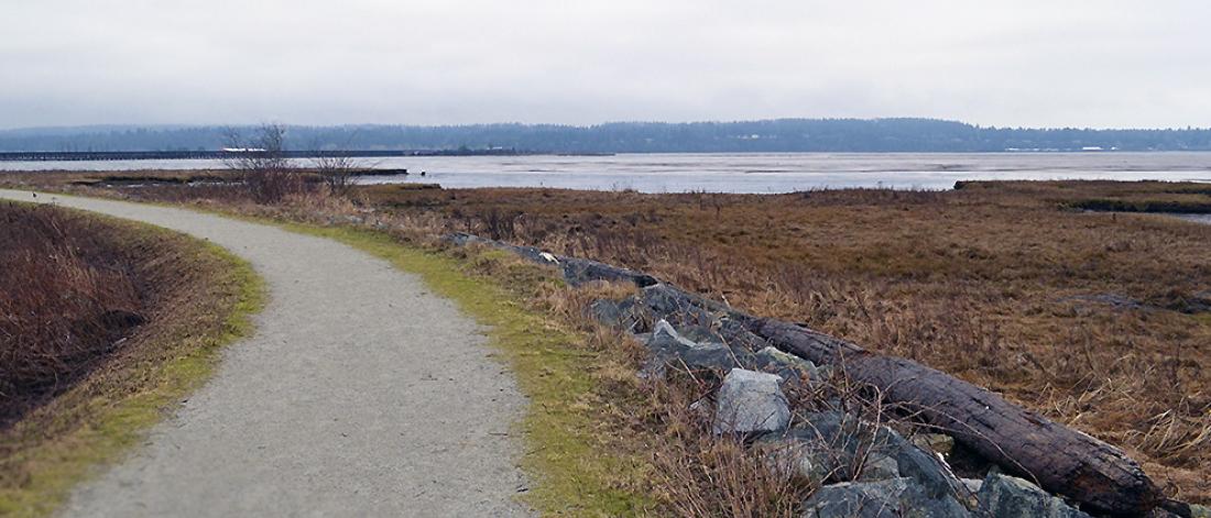 Mud Bay Park