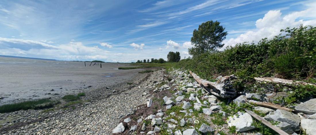 Mud Bay Park 