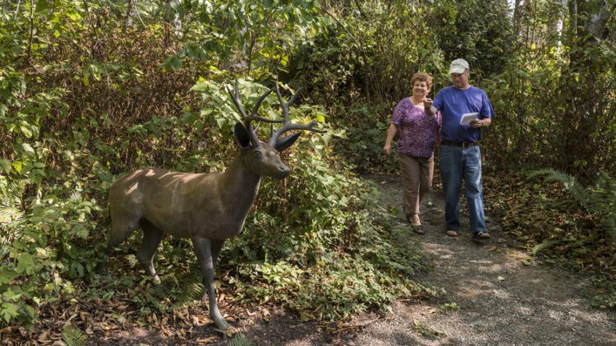  Steve Tyree - Mule Deer