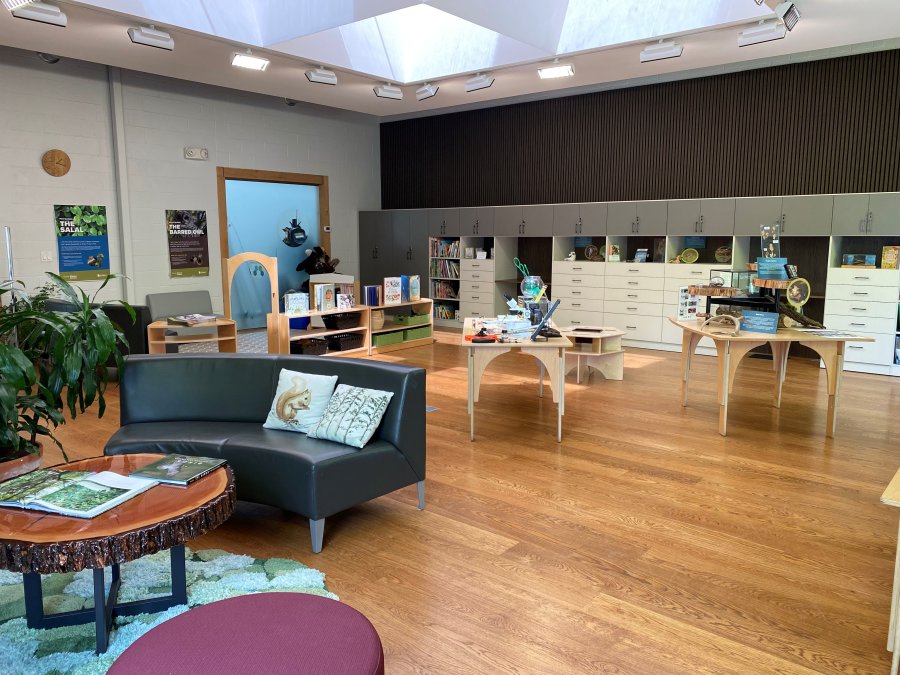 Natural items on tables for exploration. Bookshelves with nature-related books, drawers with natural artefacts for viewing and couches to sit on.