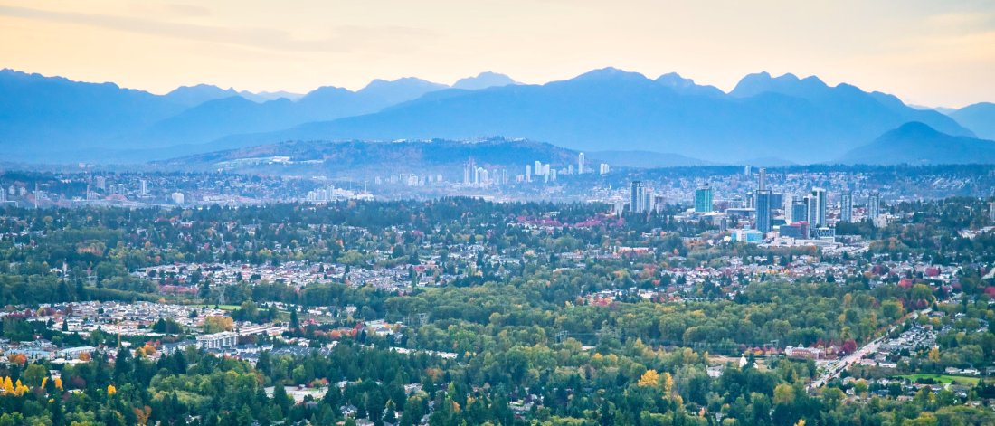 aerial of newton