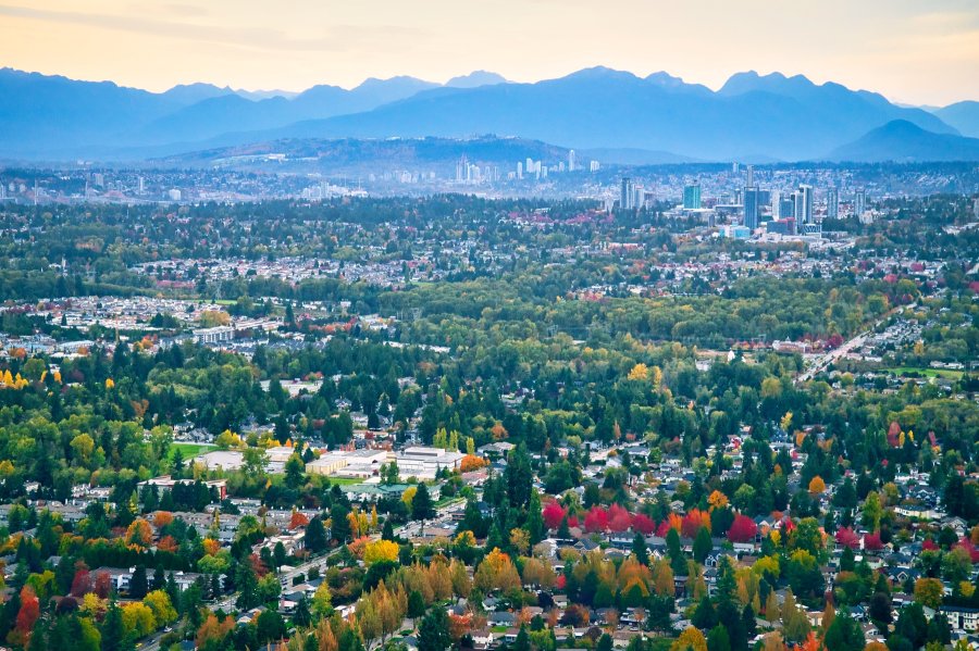 aerial of newton