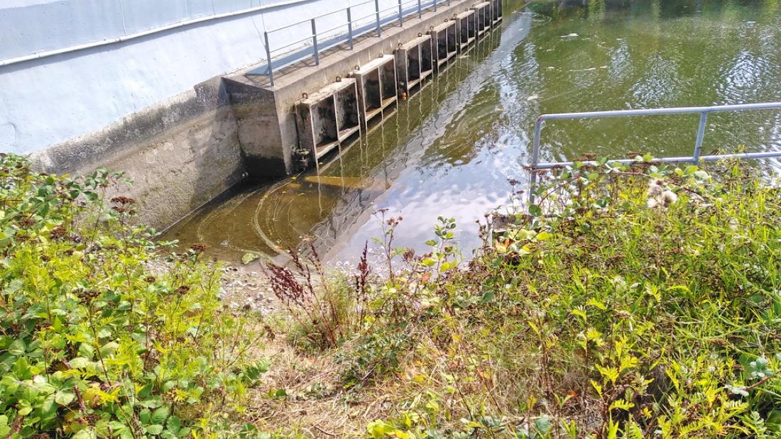 A dam in a river