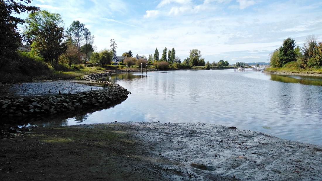View of a calm river