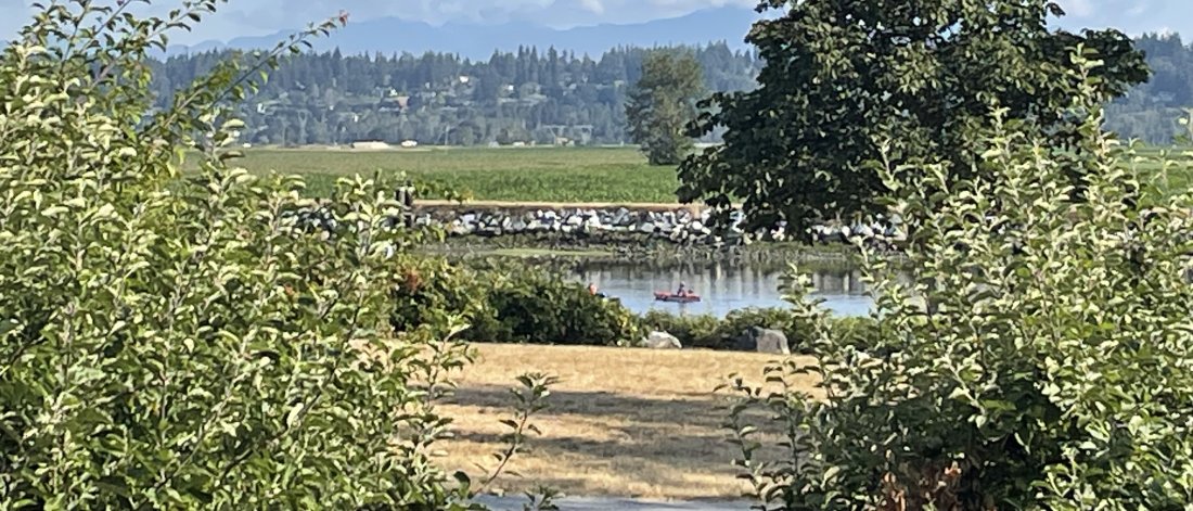A far off view of a rower on the river