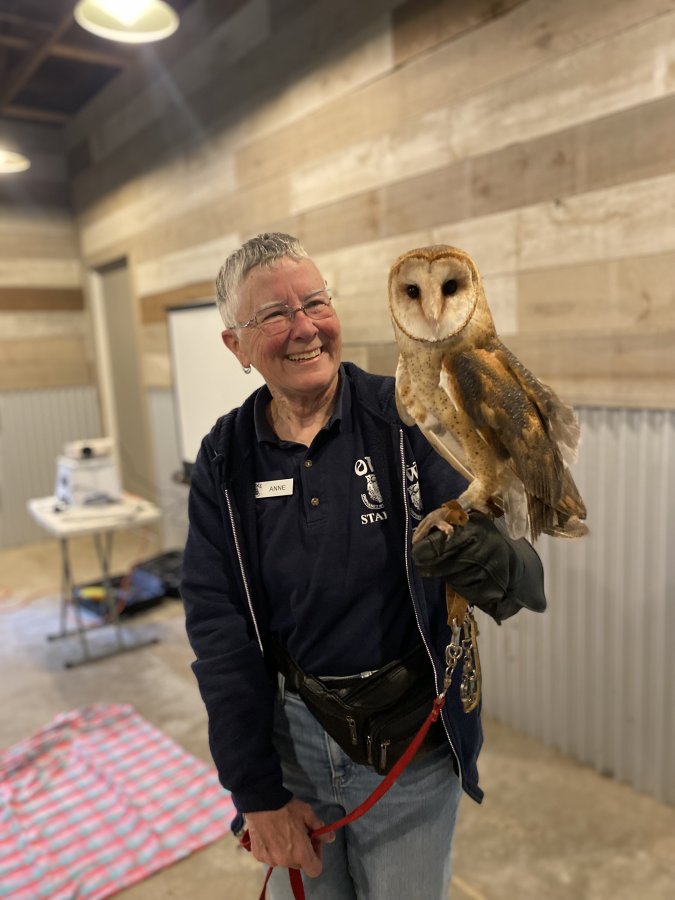 Volunteer holding a barn owl during an indoor educational session.