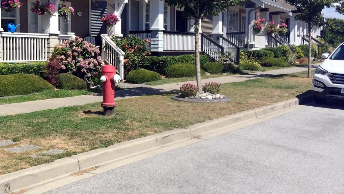 Parking Near a Fire Hydrant