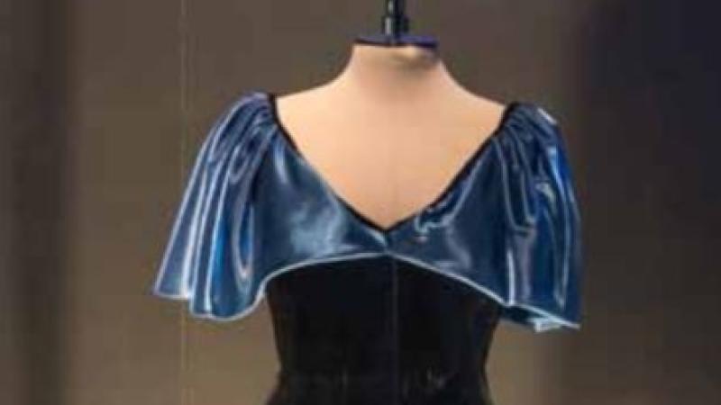 Nancy Paterson, Stock Market Skirt