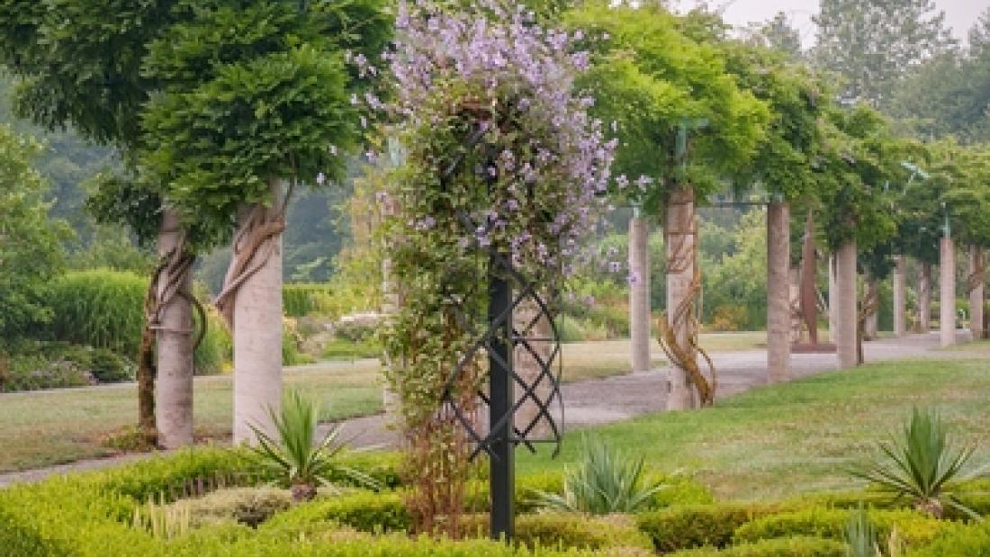 Pergola at Fleetwood Gardens