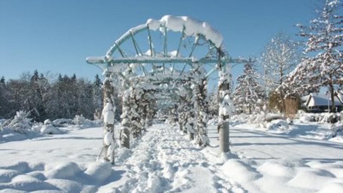 Snowy Day in Fleetwood Gardens
