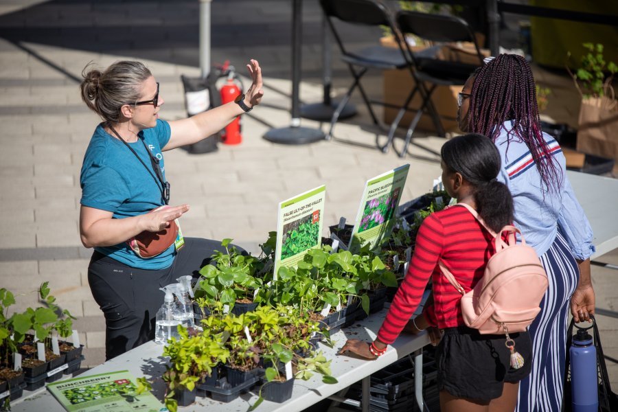 plant sale