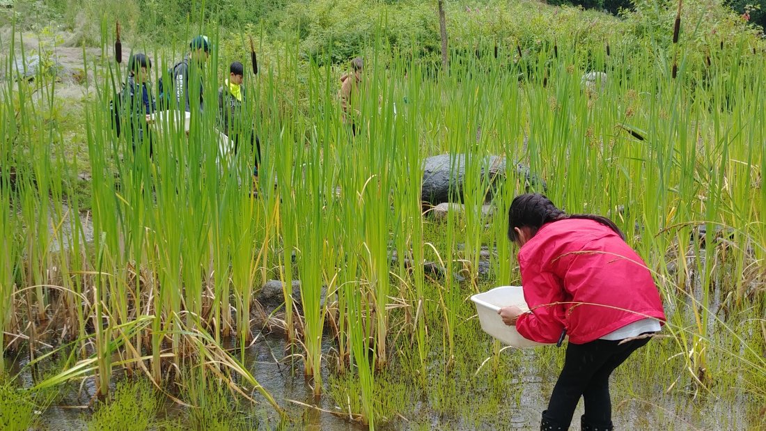 child pond peeking as part of day camp activities