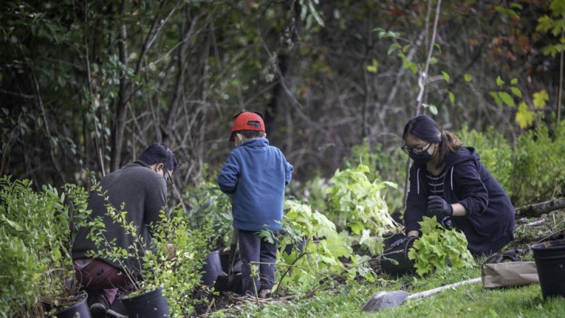 family planting shrubs at releaf event