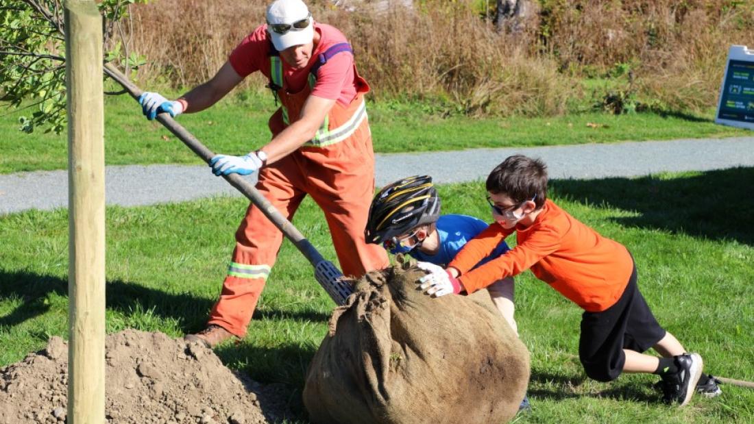 two kids helping roll large tree into hole