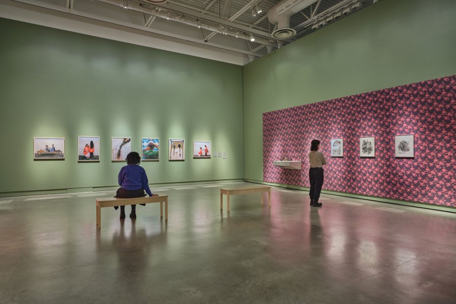 A person sitting on a bench and another person stand in a gallery space look at art on two separate walls. One wall is green and shows pictures of hair; the other wall is patterned with pinks and purples.