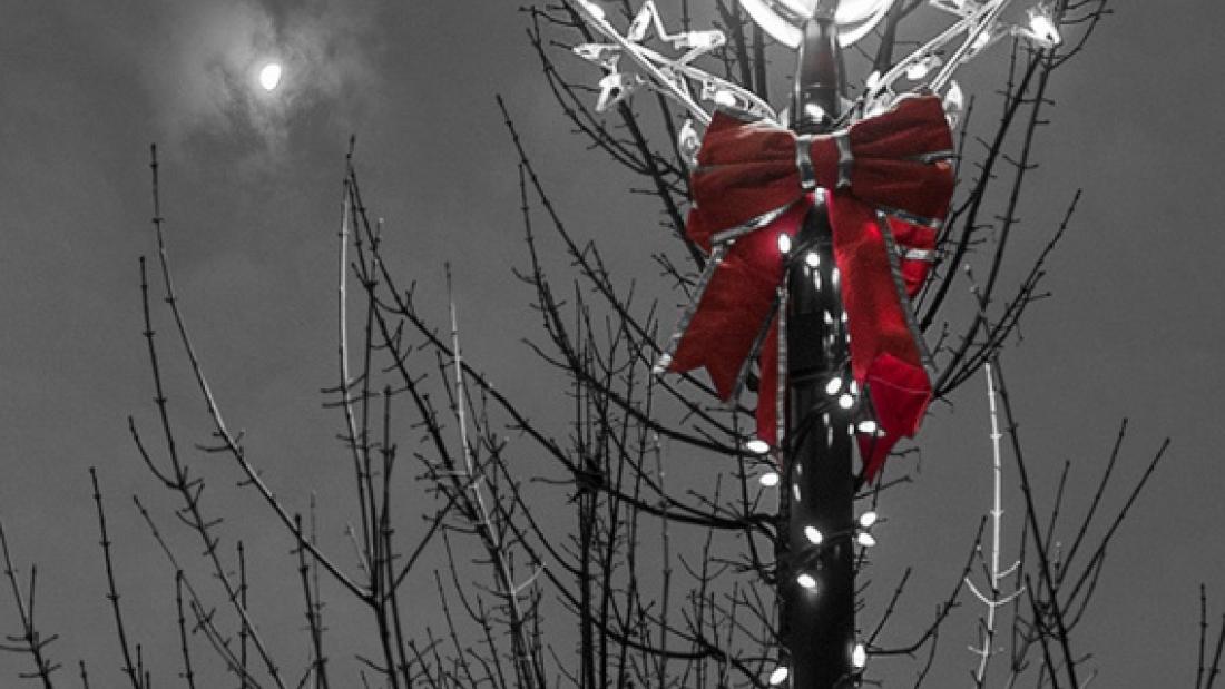 White christmas lights wrap a lamp post outdoors