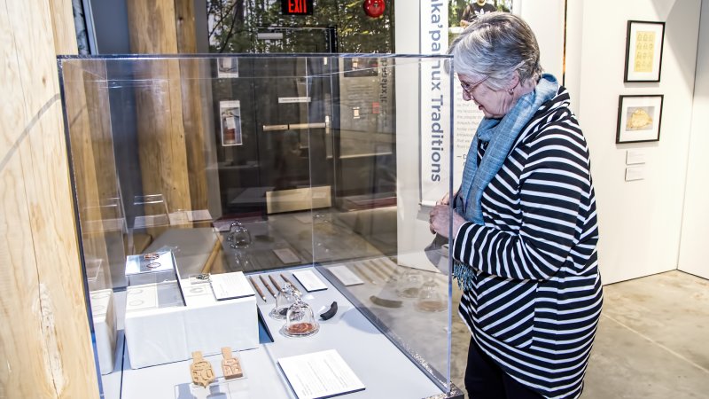 senior looks at exhibit