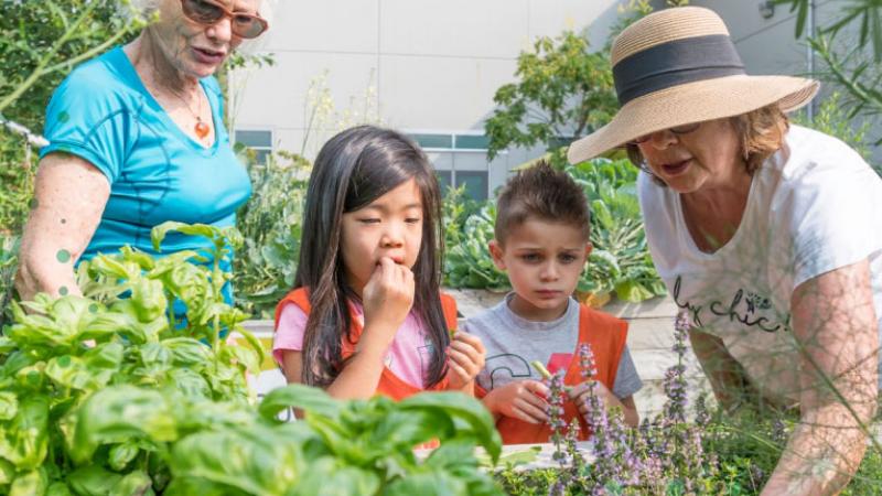 Two seniors gardening with two children
