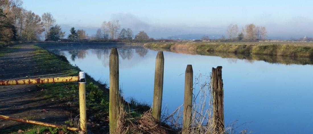 Serpentine Wildlife Management Area