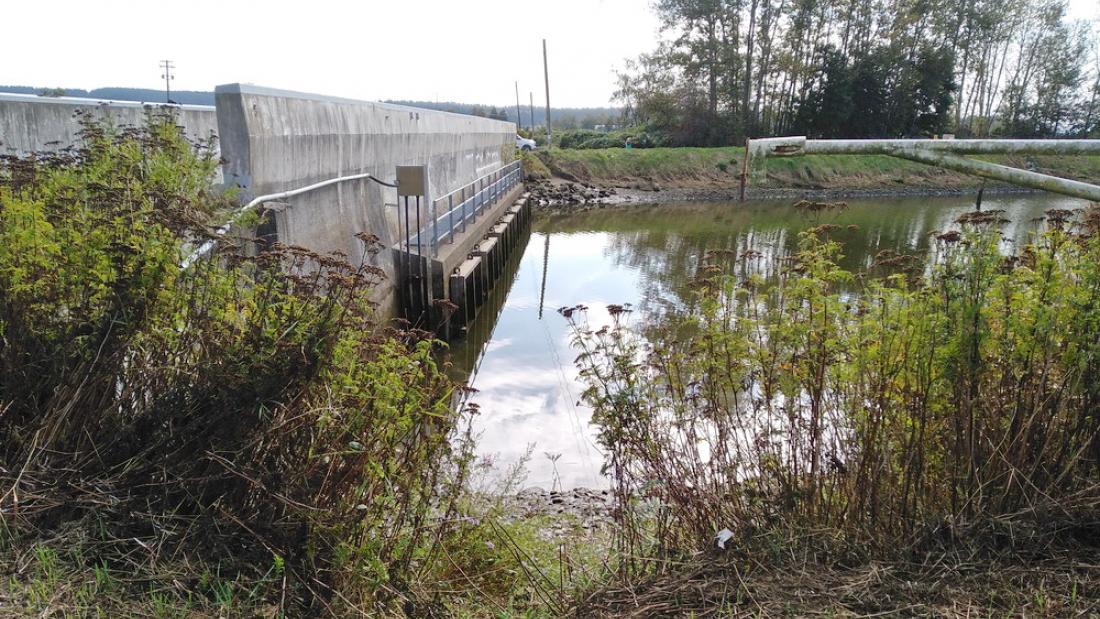 A dam in a river