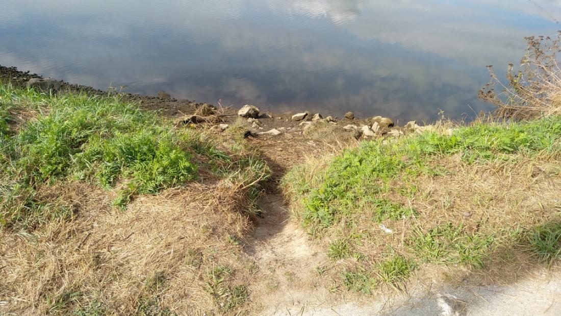 River shoreline