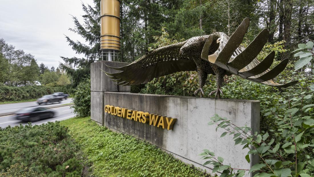 Side view of Golden Ears Way Eagle