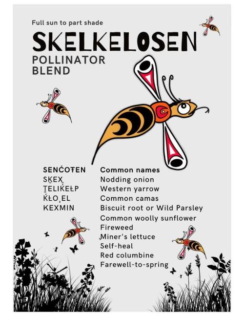Skelkelosen seed pack.