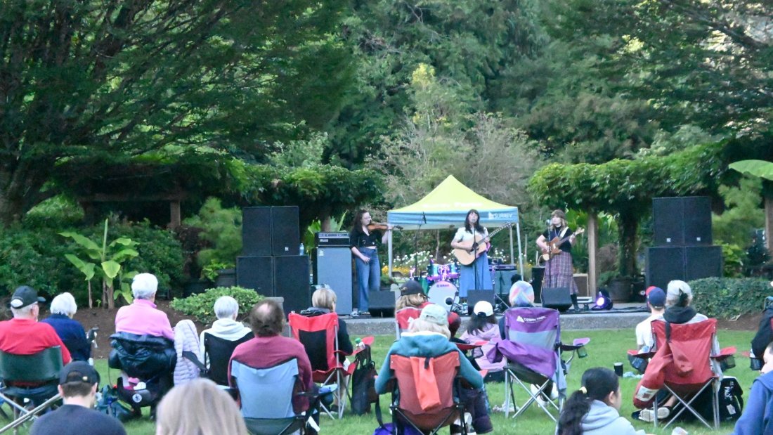 a band performs in a garden