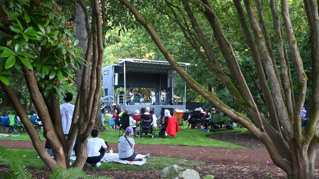 a band plays on an outdoor stage