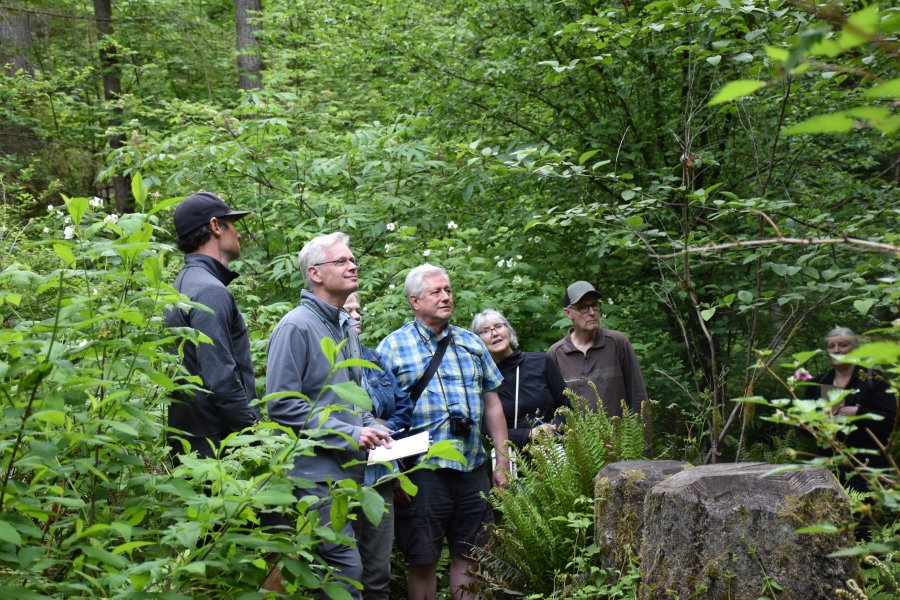 Group of adults on a guided nature walk in a lush forest.