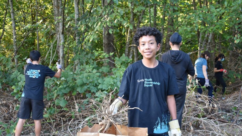 youth volunteers removing invasive Himalayan blackberry plants from a forest