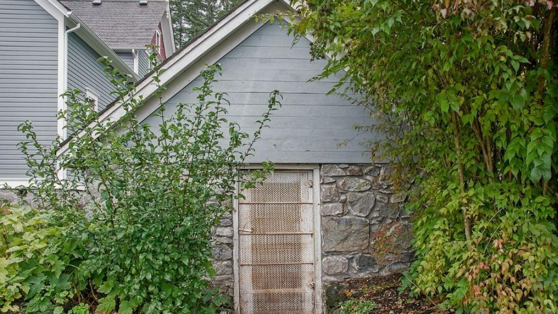 The root cellar