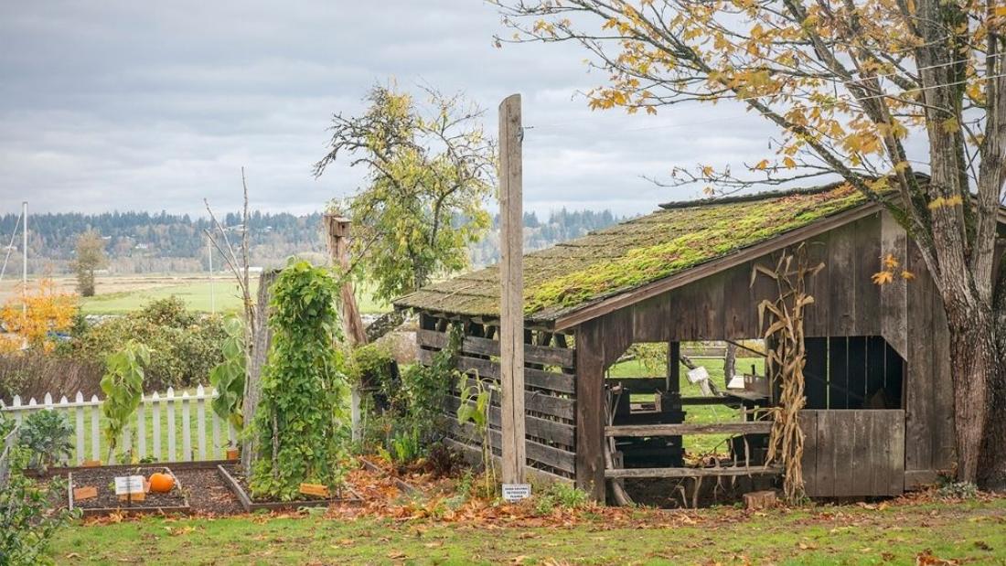 The woodshed
